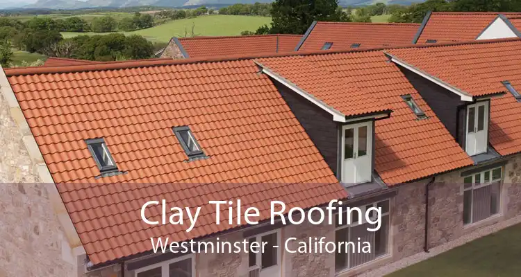 Clay Tile Roofing Westminster - California