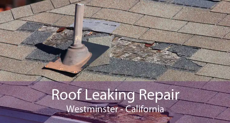 Roof Leaking Repair Westminster - California