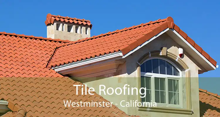 Tile Roofing Westminster - California